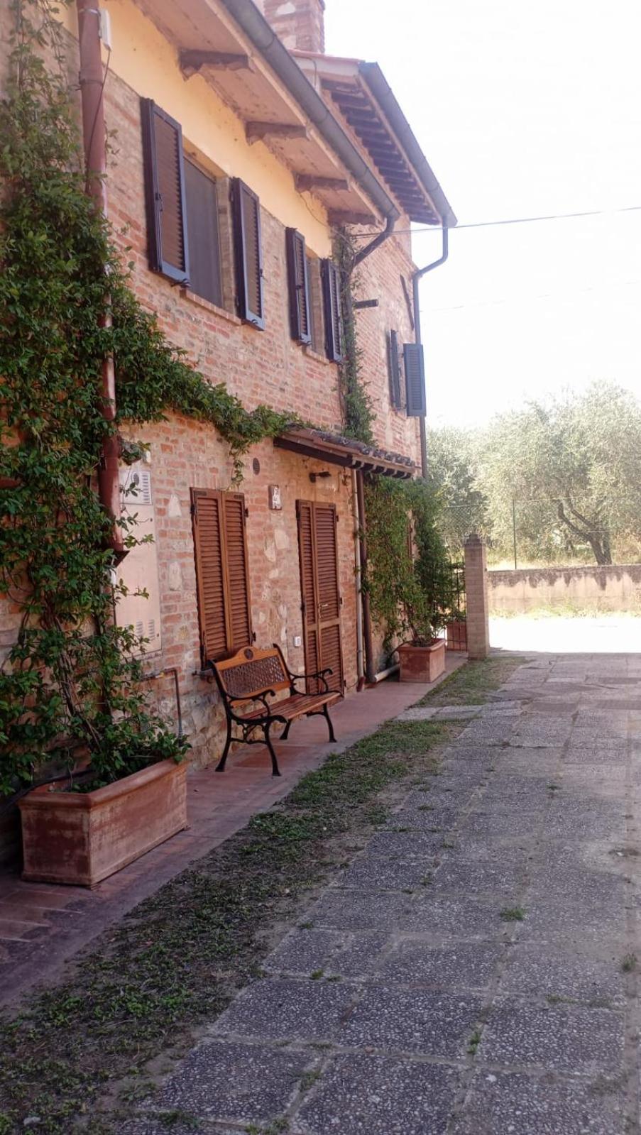 Agriturismo La Pergola Castiglione del Lago Exterior foto