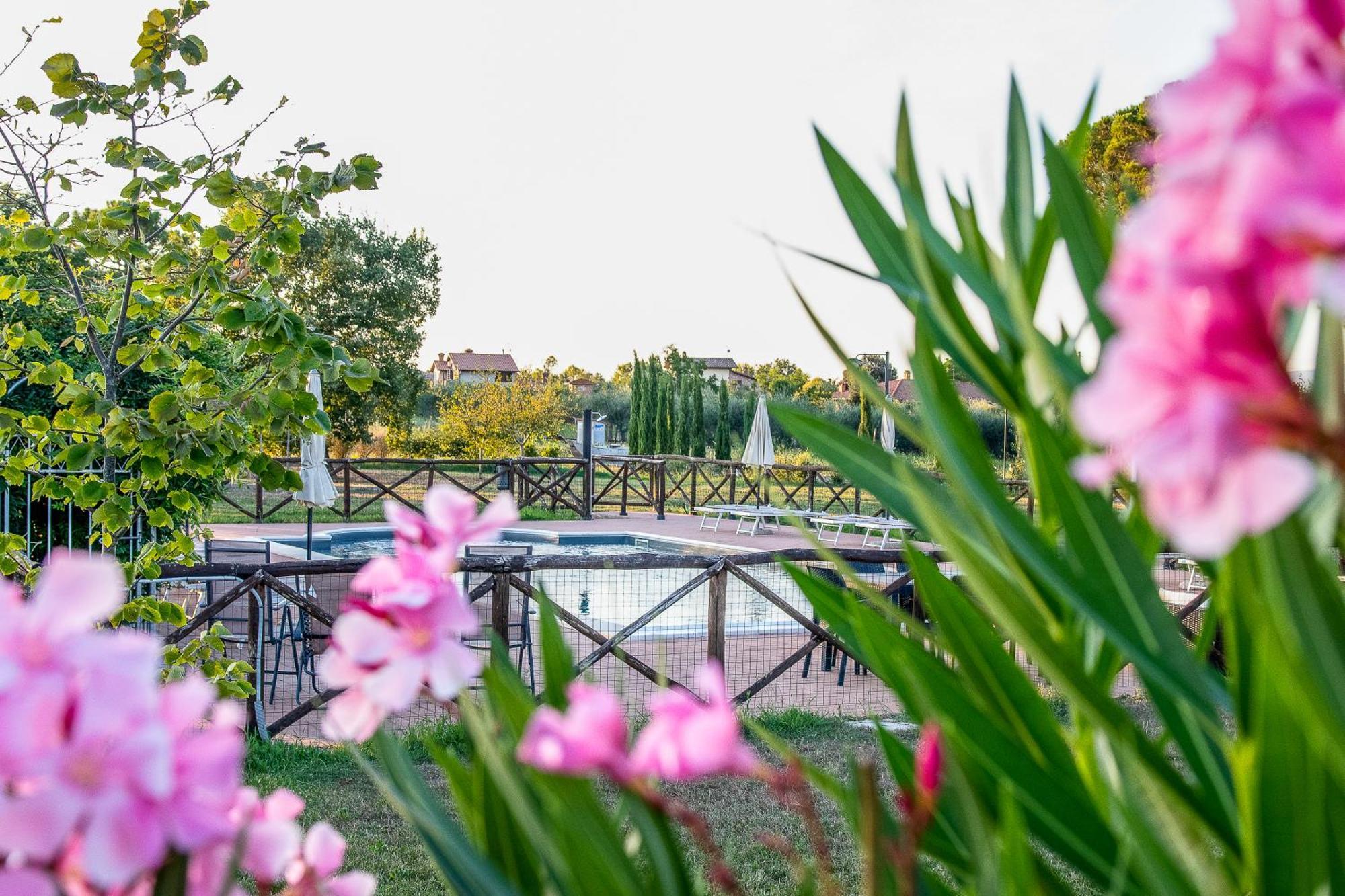 Agriturismo La Pergola Castiglione del Lago Exterior foto